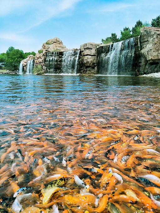 太阳岛风景区图片