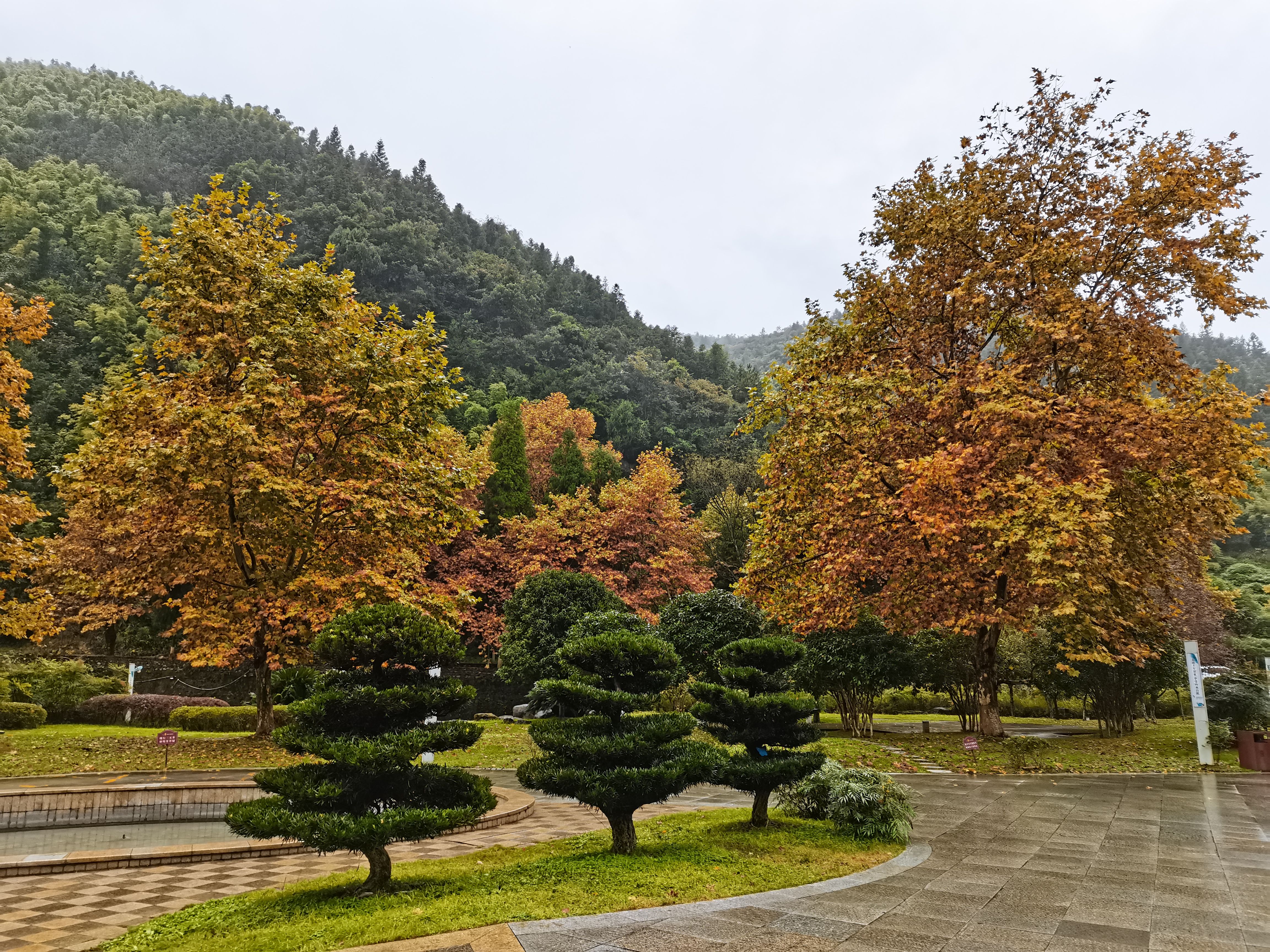 《空山新雨后，天气晚来秋——南川小众景点逛吃之旅》