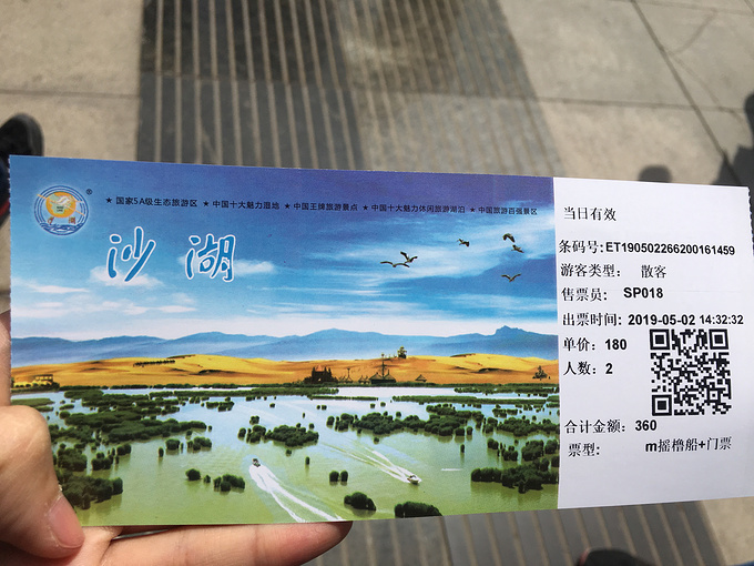 沙湖生态旅游区图片