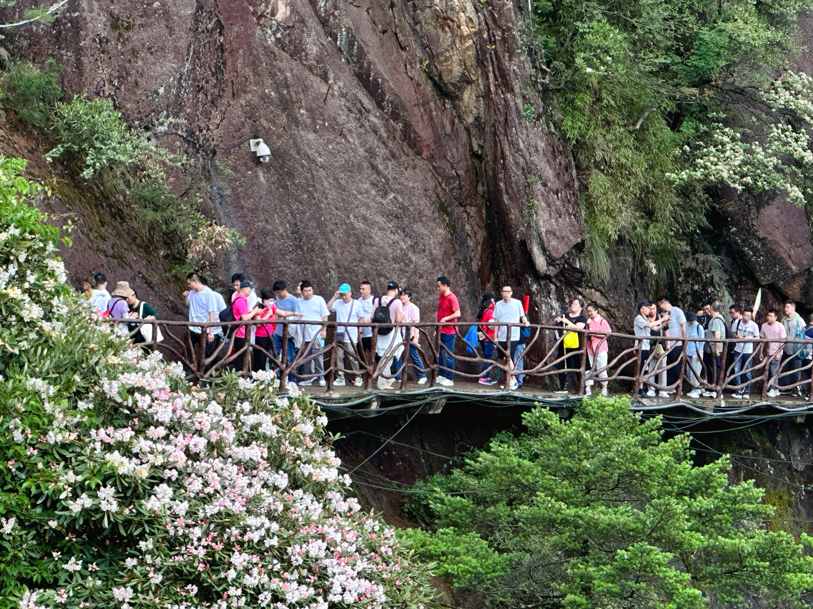 【江西旅游】，3天2晚，我来三清山贩卖好风景~