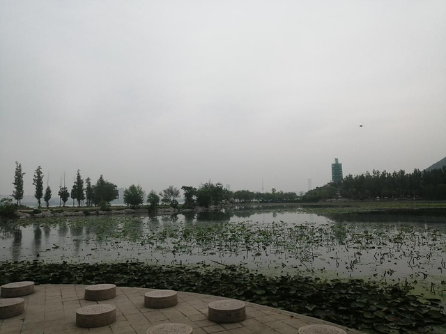云龙湖是在徐州市内的公园,既然是5a级景区就过来看看吧