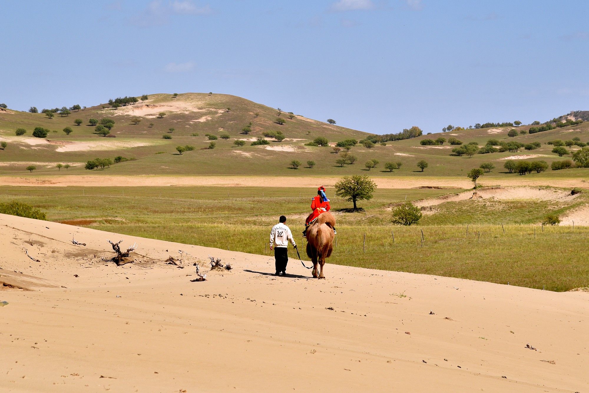 与羊驼小鹿共餐，自驾坝上草原醉秋之旅，三天三地这样玩