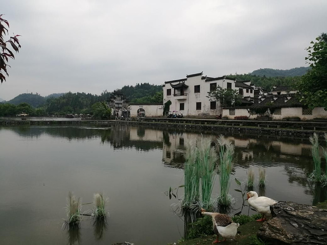 游览到此西递就结束了下一站徽州古城.西递