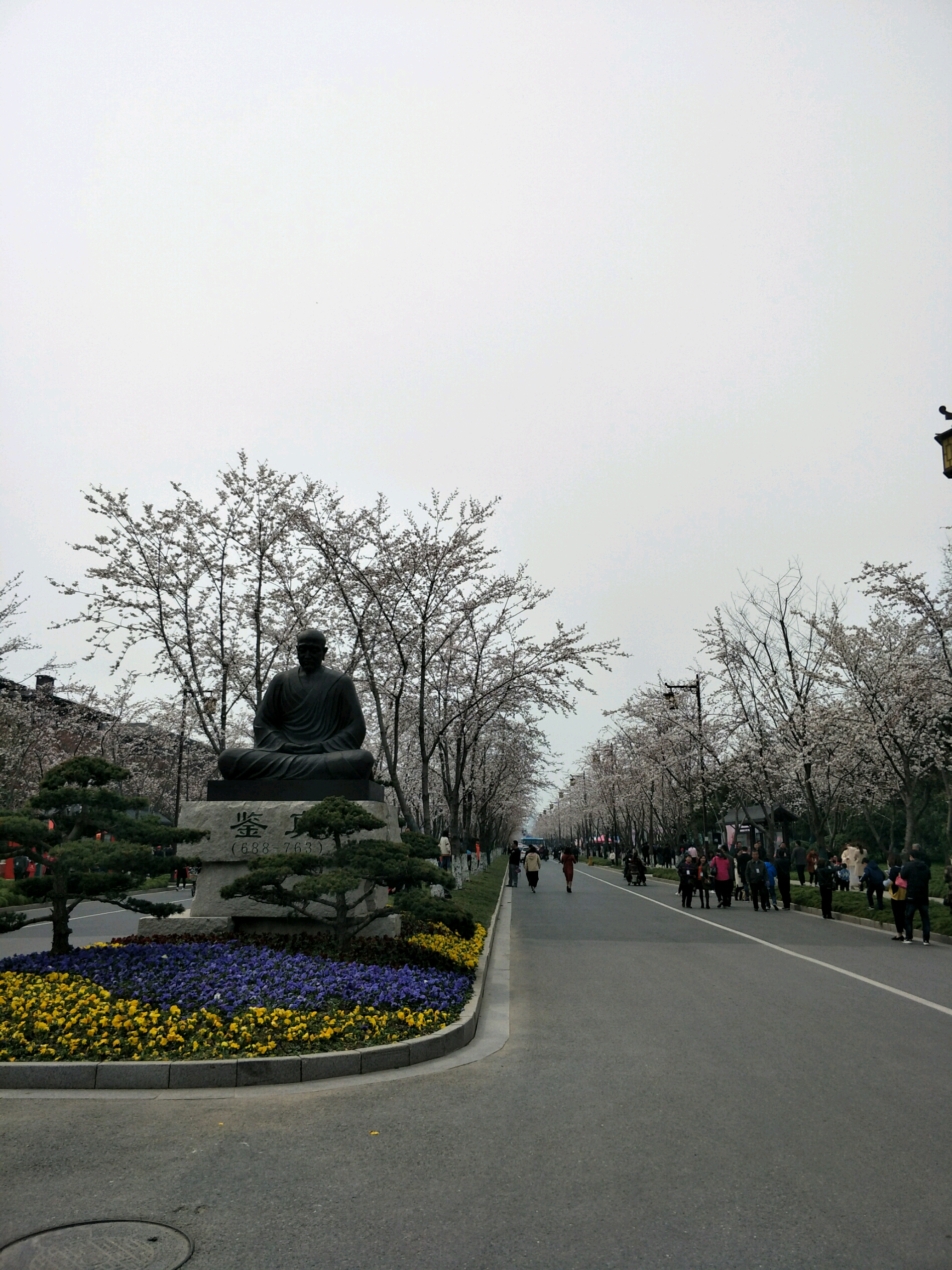 鉴真樱花大道&陈园1日游