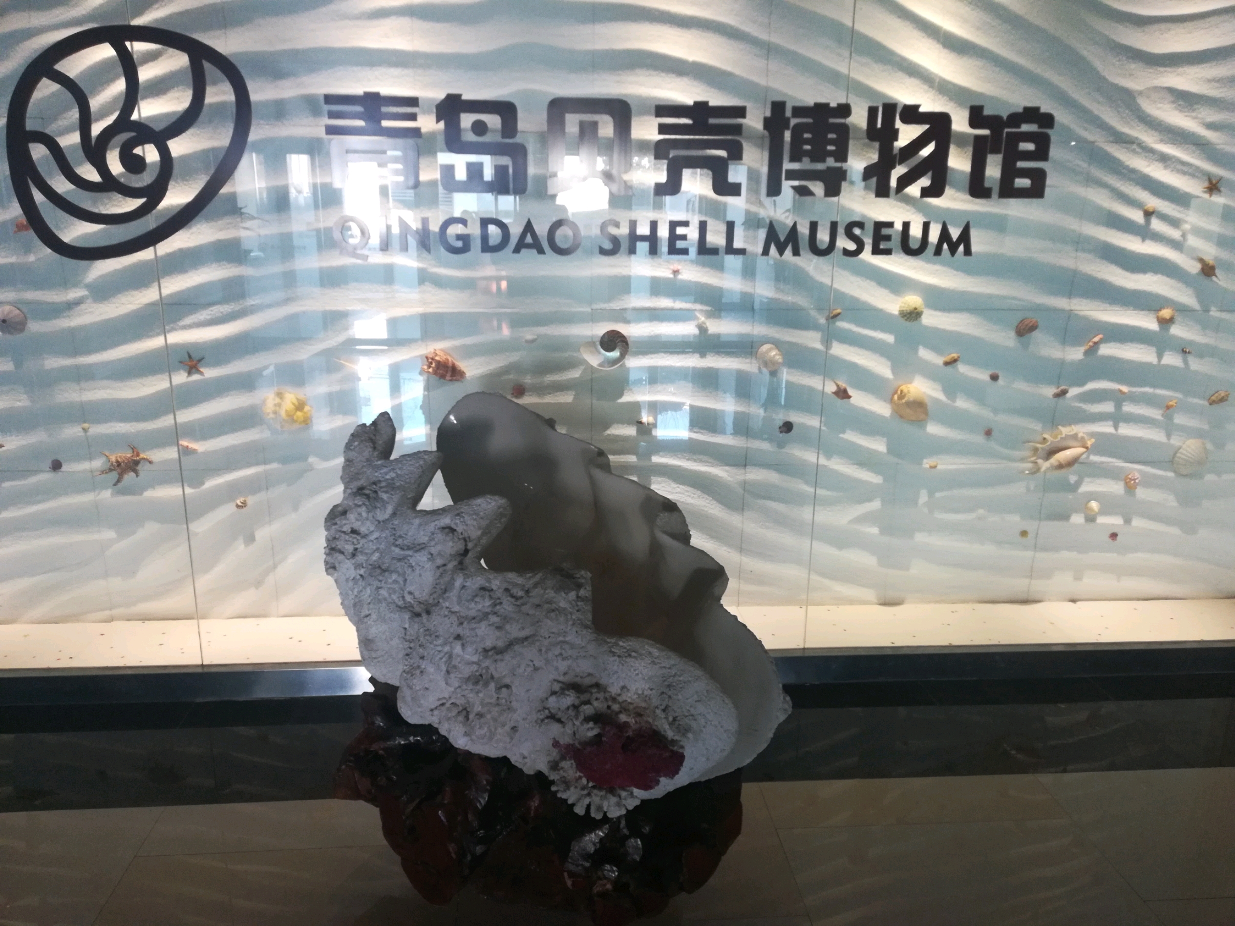 青岛贝壳🐚博物馆