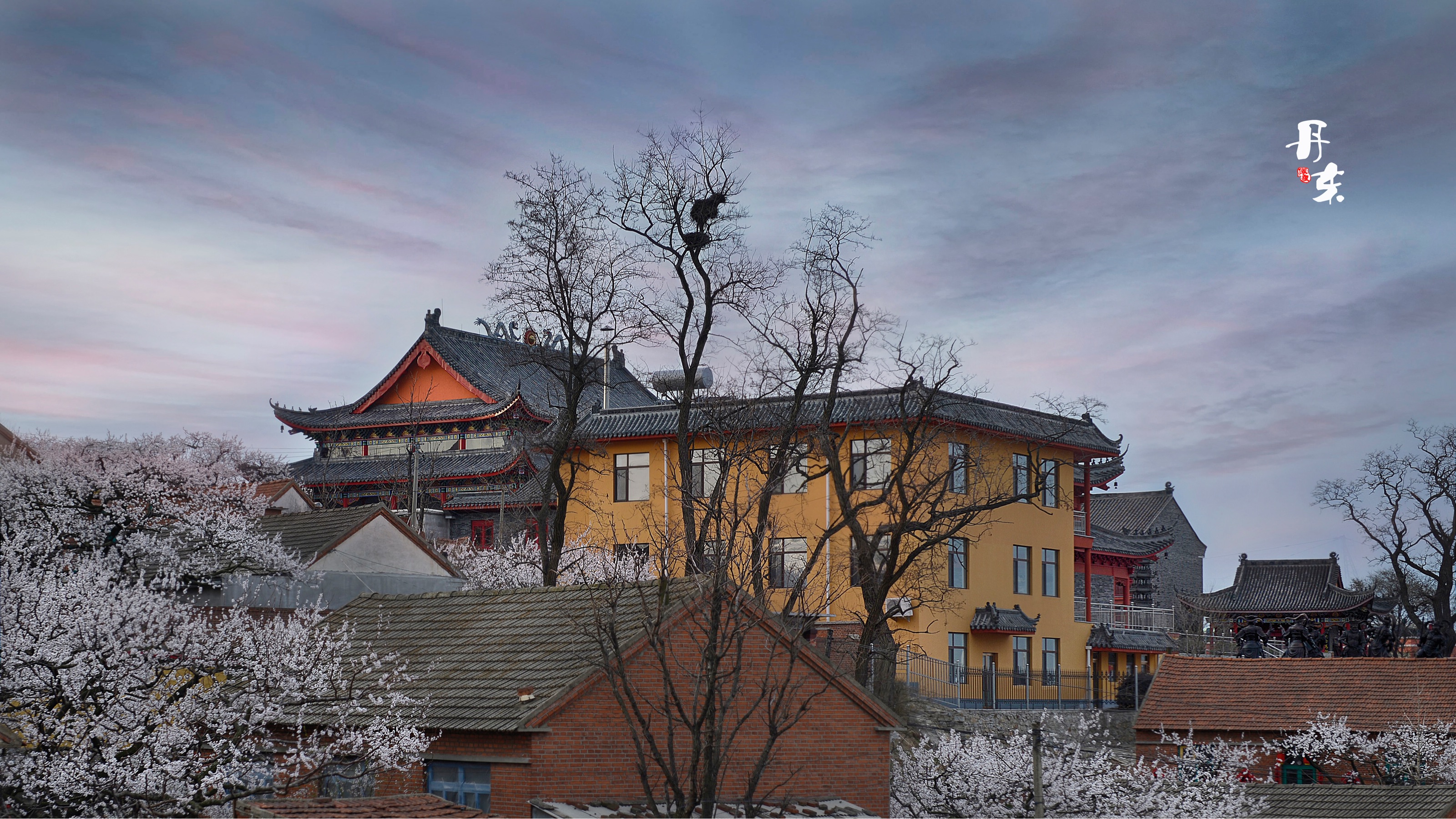 大孤山杏花节