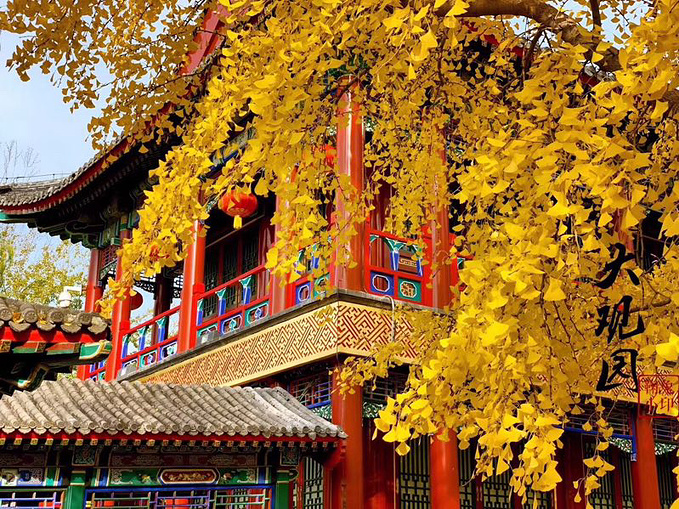 北京旅游攻略 深秋美景带着父母游遍帝都  说句实话 大观园 不喜欢87