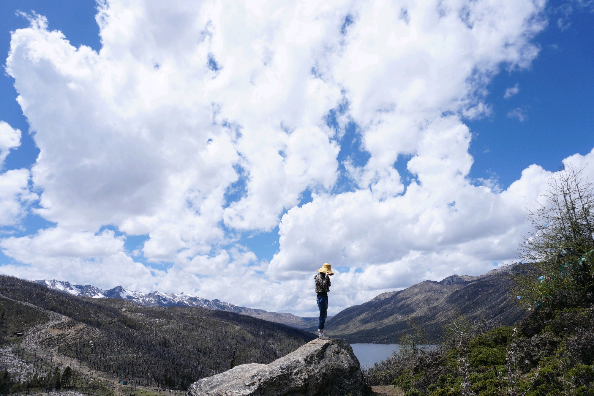 三个人的新都桥漫漫旅途