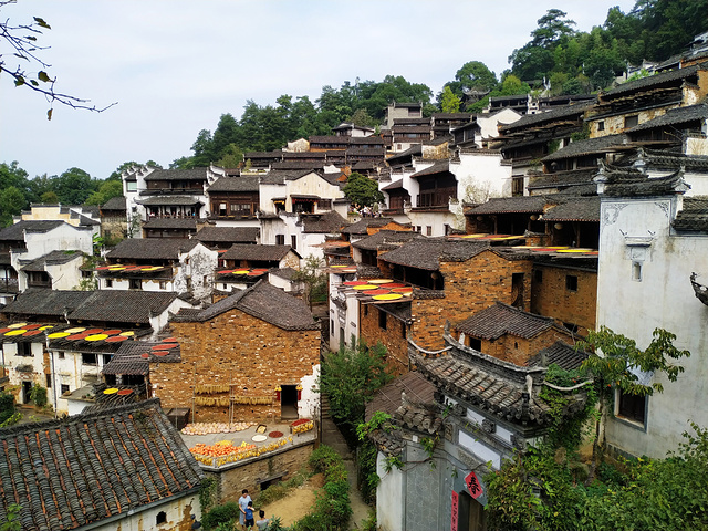 前一天住婺源县城,婺源的景点十分分散,在各个村庄,能自驾游最好.