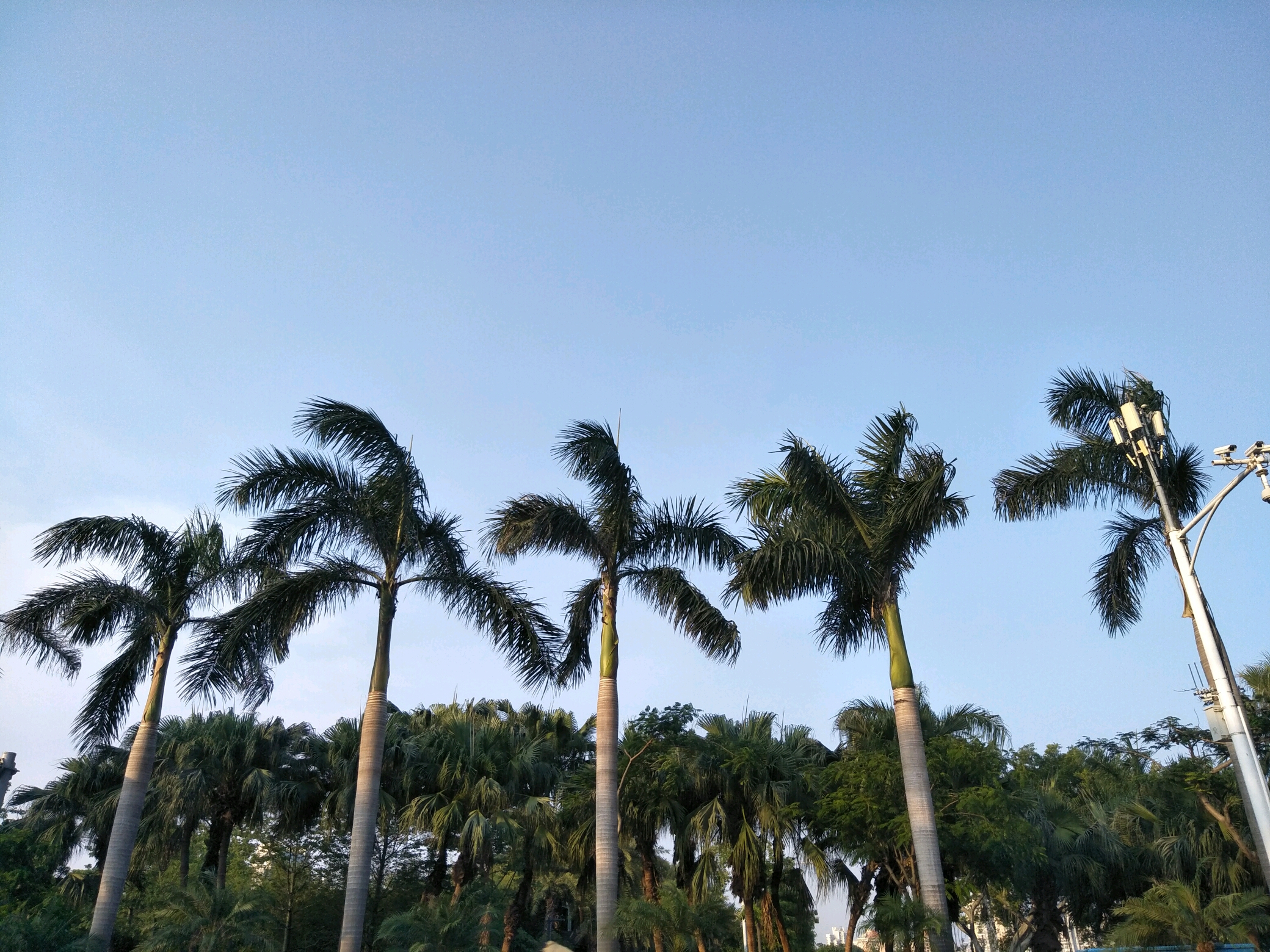 厦门佛系度过的五天四夜(这是假攻略)