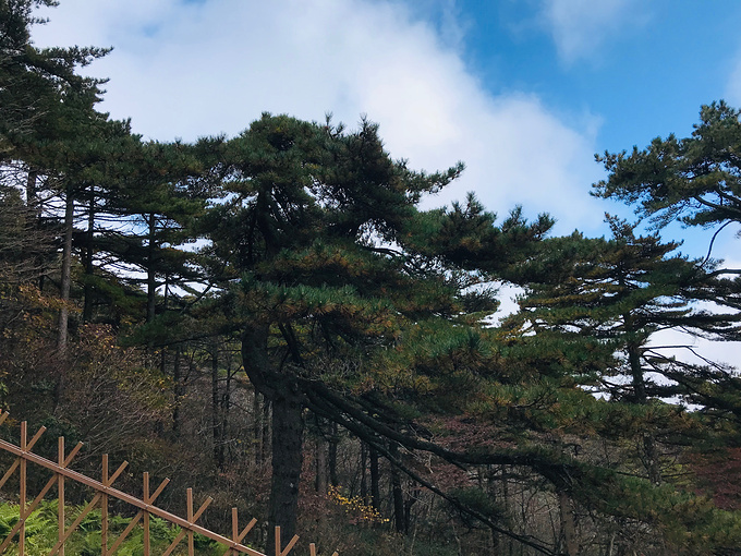 天下无山之黄山行