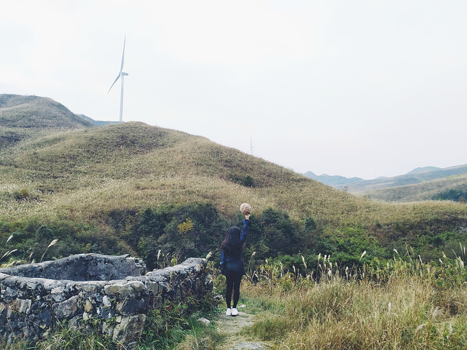 奔赴一场盛大的青春:《陈情令》取景地贵州都匀之旅