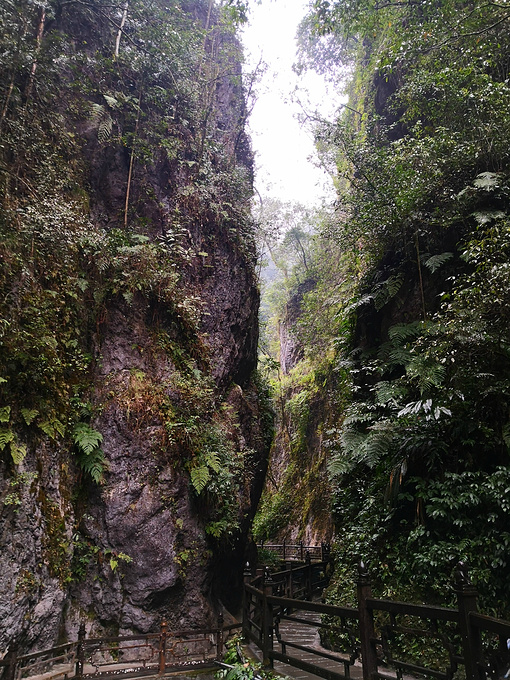 雷洞坪图片