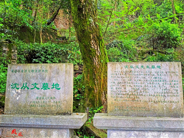 沈从文墓地"的评论图片