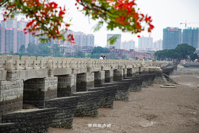 福建泉州洛阳桥图片
