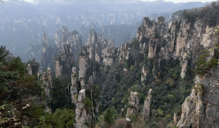 上午:游玩张家界景区最漂亮的地方【杨家界】景区:可游览天波府,三道