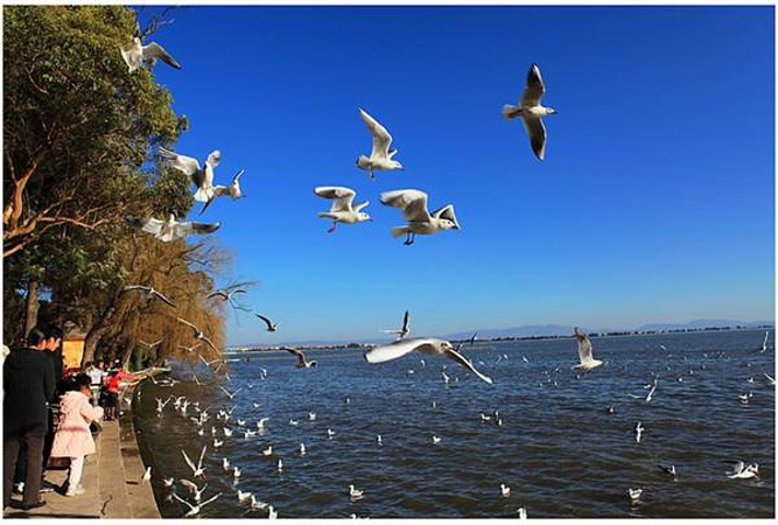 中国云南省大湖,在昆明市西南,连同湖西侧的西山是著名游览,疗养胜地.