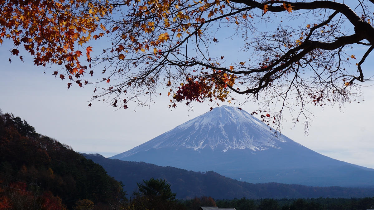 日本浪漫红叶季，在这里遇见最美秋色