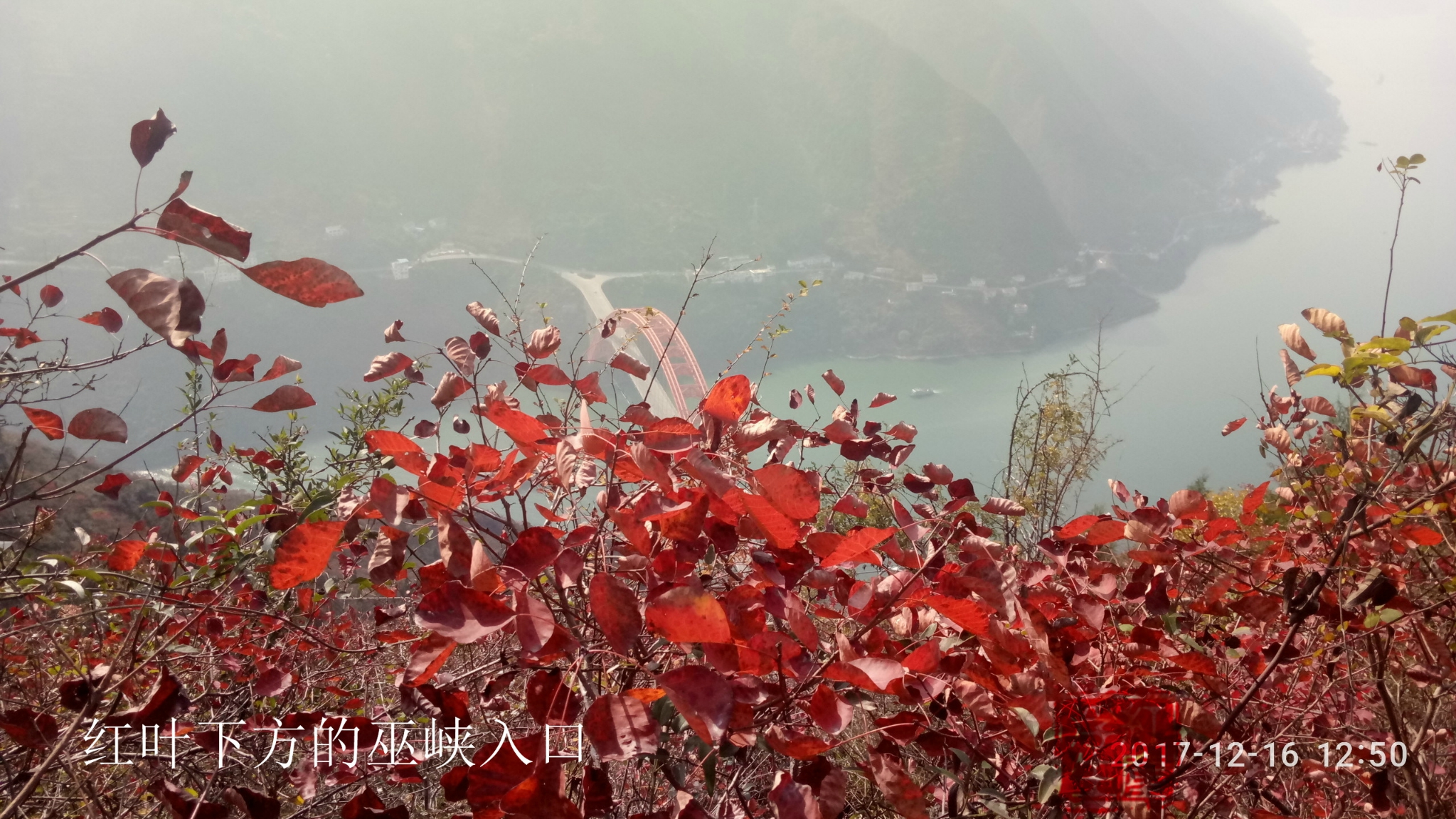 郎巡天下 之 深秋红叶舞巫山