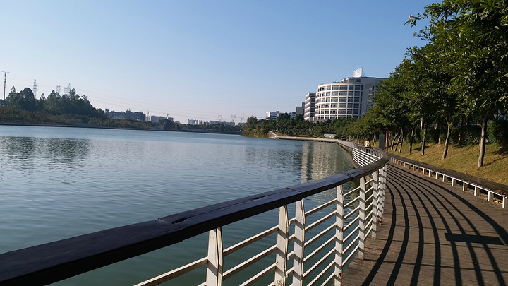 大观湿地公园岭南国家软件产业基地