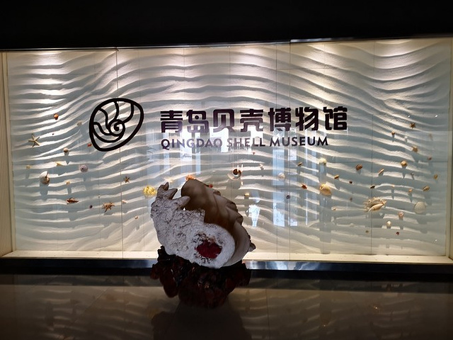 听听来自大海的声音【牛老板tips:贝壳博物馆】地址:青岛市西海岸新区