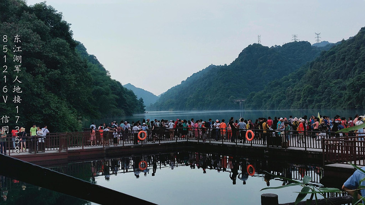 这几几天玩了aaaaa级景区东江湖景区/人间仙境——雾漫小东江/最美