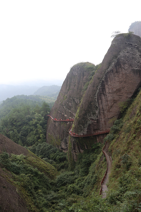 骆驼峰图片