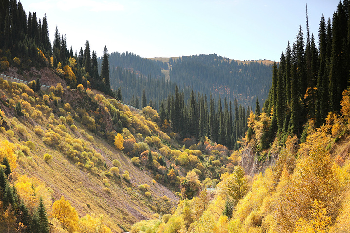 那拉提草原是世界四大草原之一,是新疆十大风景区之一,旅游风景名胜区