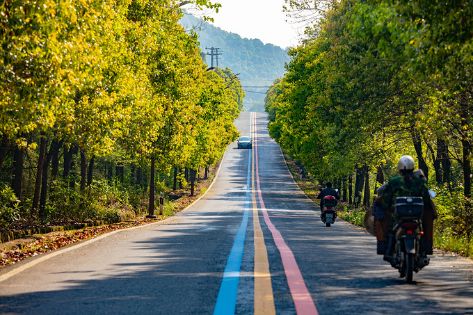 环湖路图片