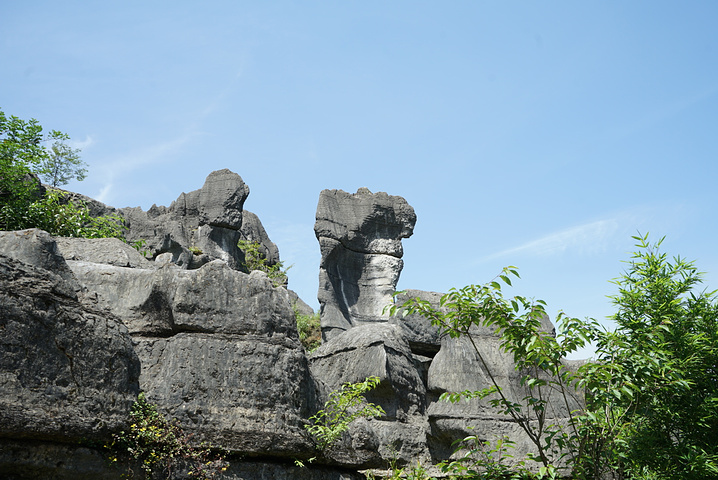 万盛石林位于重庆万盛区石林镇,距万盛城区20公里,以地表石林,地下