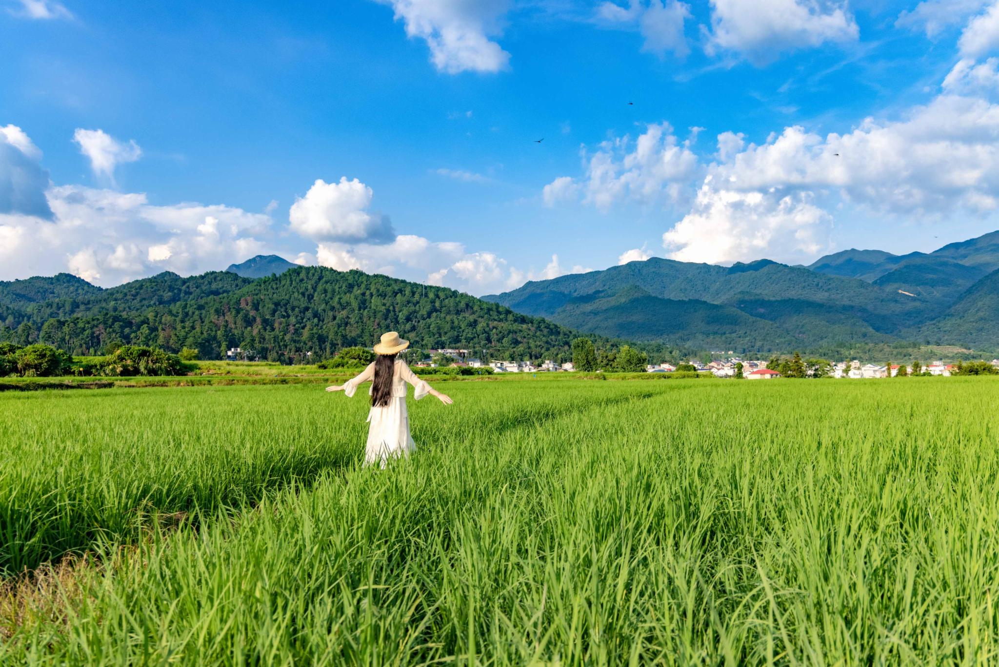 萍乡，与青春来一场相遇