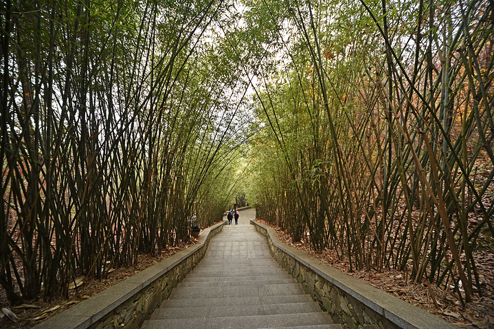 木栈道漫步虽然冬季山林略显萧条依然能看出这是一片有山有水的风景