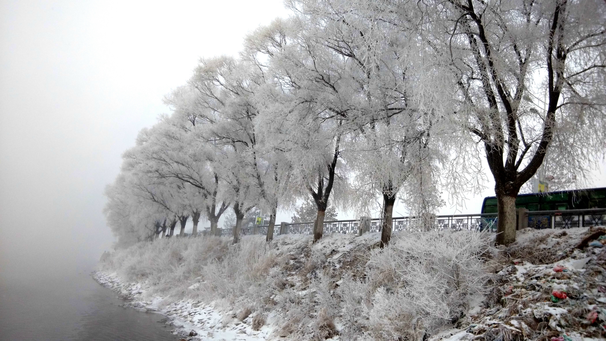 那些年在吉林赏过的雾凇、滑过的雪~