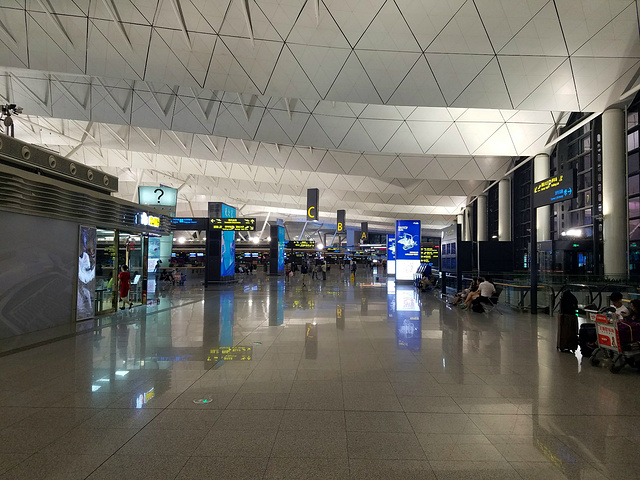 沈阳桃仙国际机场位于中国沈阳市南郊的桃仙街道距沈阳市中心20公里