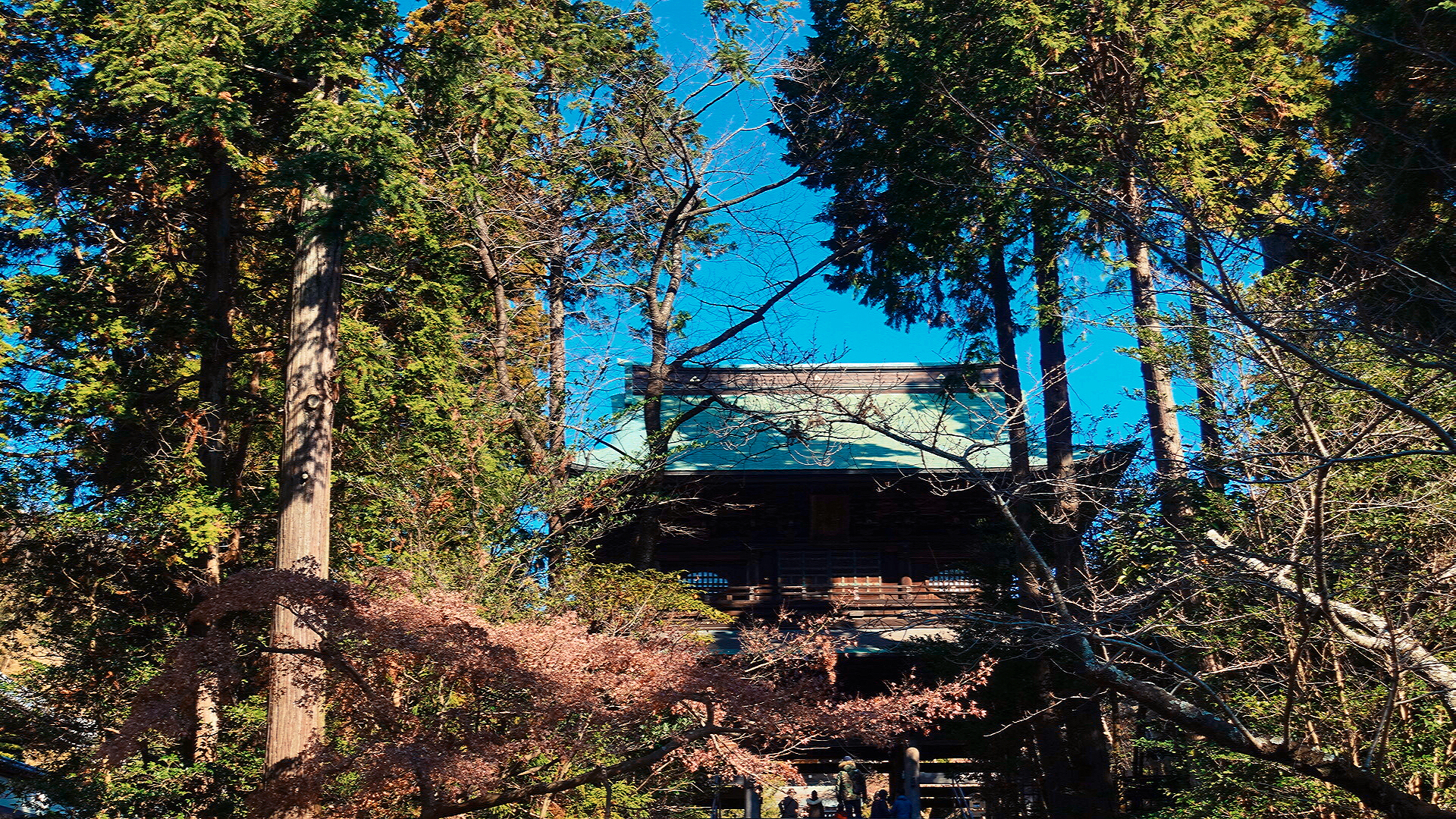 是临济宗圆觉寺的总寺院.我不提倡大家逃票,但是这条小路非常美.