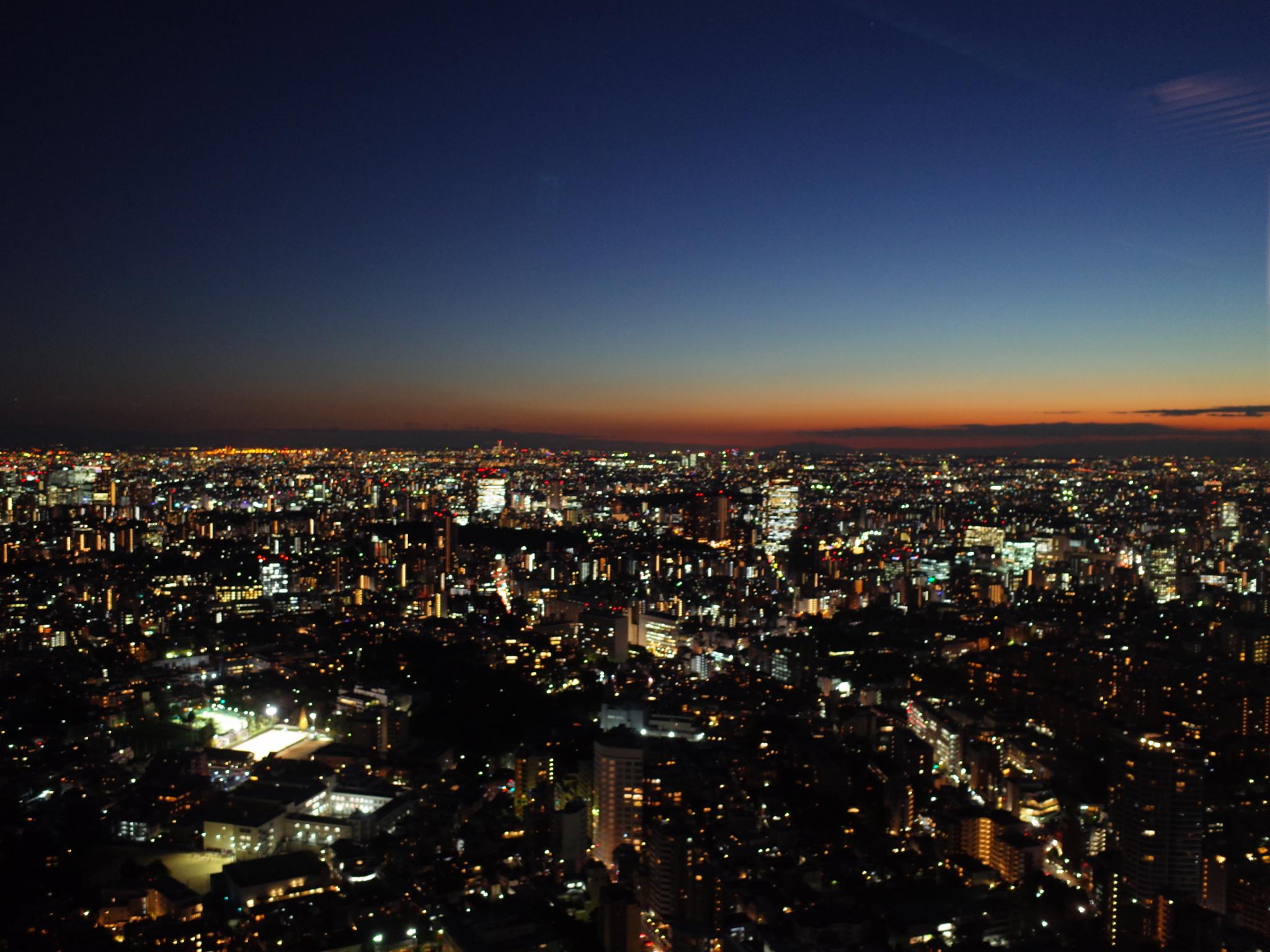 再次推荐大家去六本木看夜景!