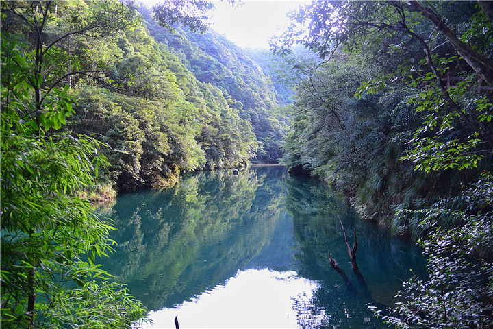 公园以"林茂,谷幽,瀑急,潭碧,湖秀,岩奇,穴怪"为主要特色,集山水观光