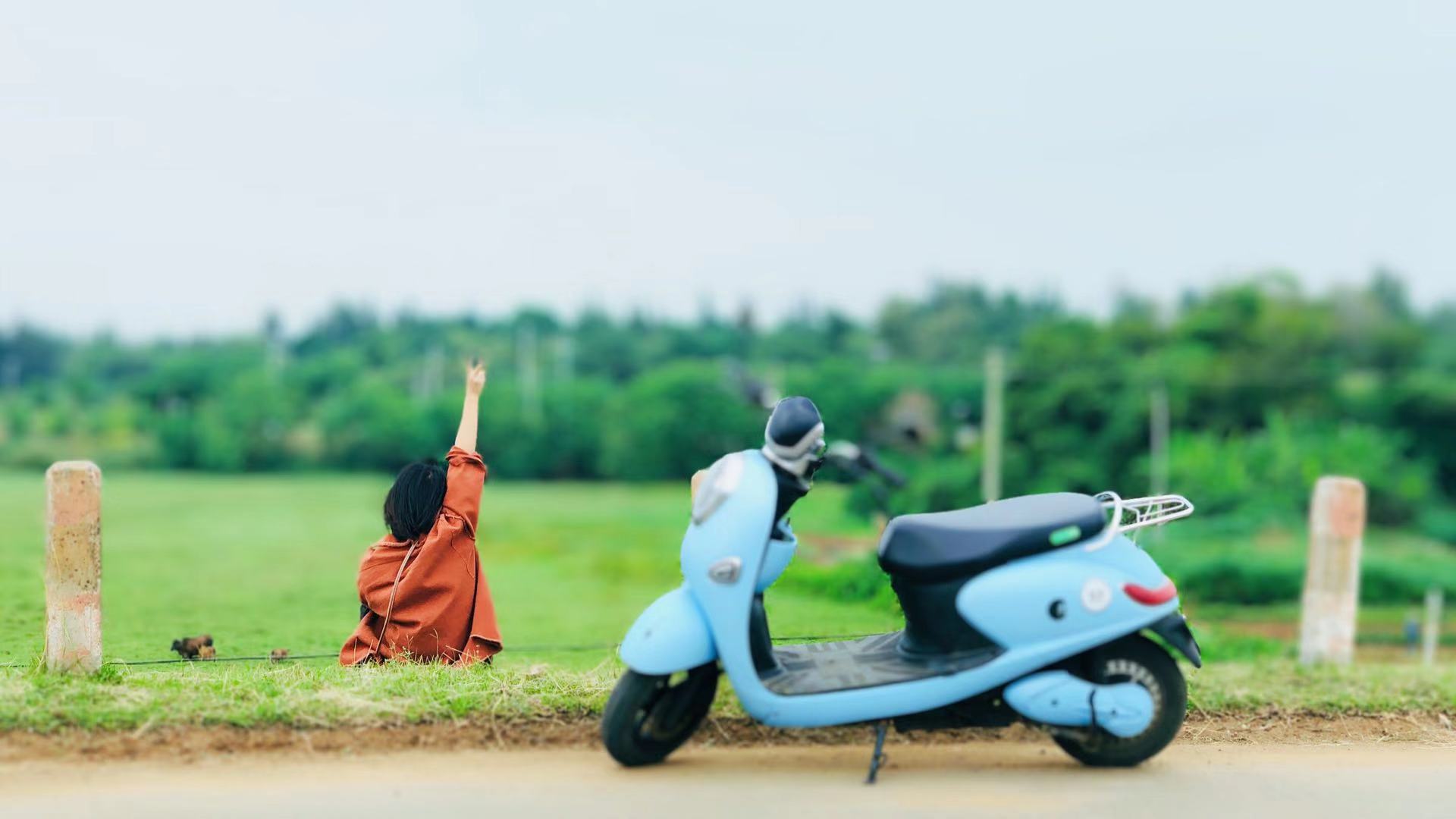 广西九日之旅一阳朔、柳州、涠洲岛、北海