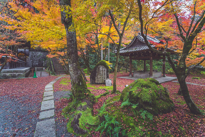 永观堂乃日本净土宗西山禅林寺派的总本山