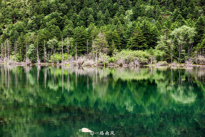 迷人的七色海
