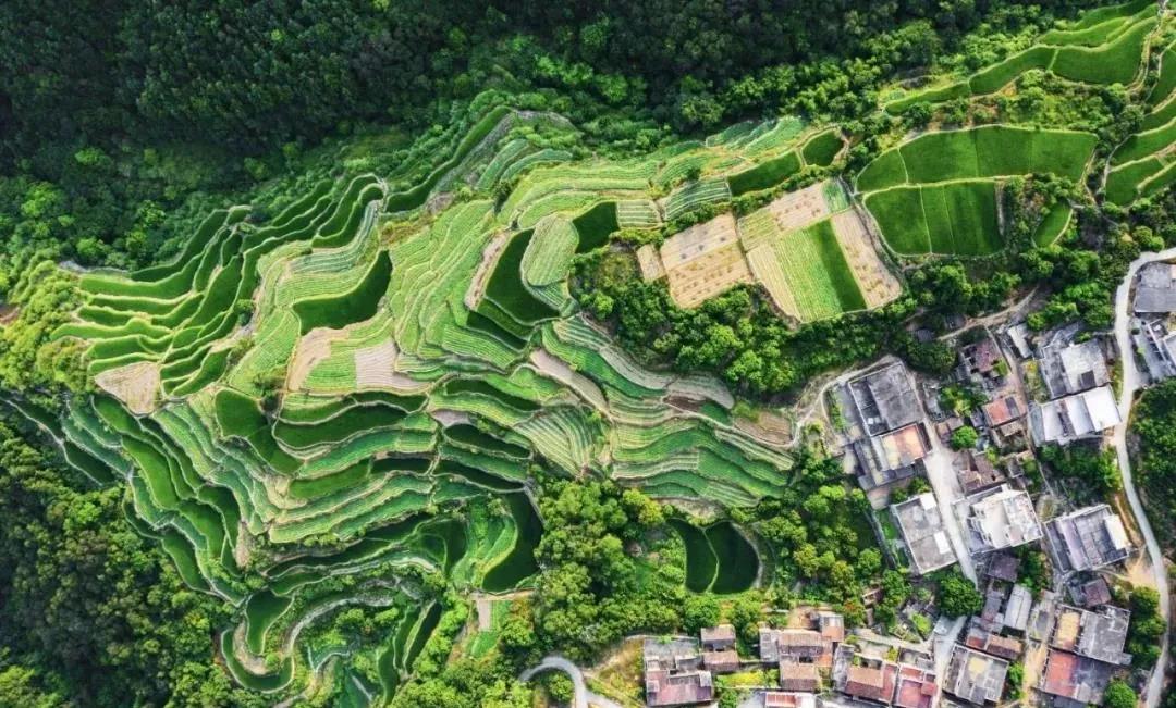 惠安有梯田？这个藏在大山里的神仙旅游村，惊艳爆了！