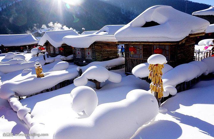 和老友们一起来这里玩儿雪~回忆有时候太可怕了_北极村"的评论图片