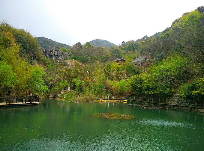 桃花岛风景区图片