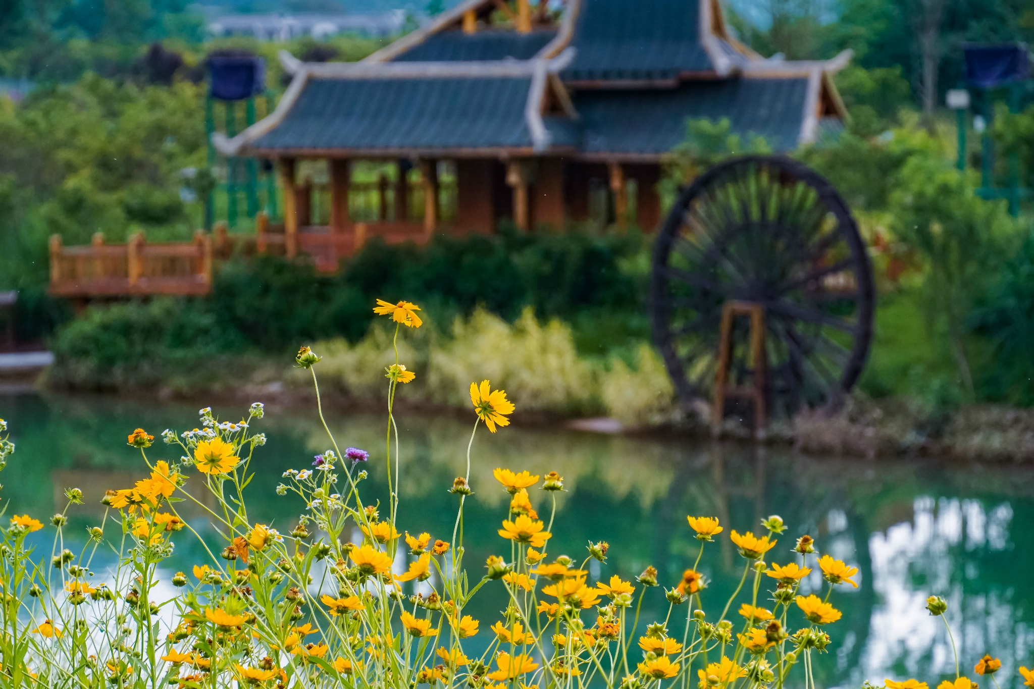 旅游要去桂林三月——去三千漓看山水和花