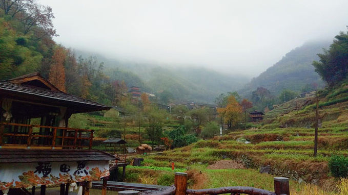 冬季到东弄来看雨_景宁旅游攻略_自助游攻略_去哪儿