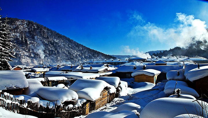 和老友们一起来这里玩儿雪~回忆有时候太可怕了_北极村"的评论图片