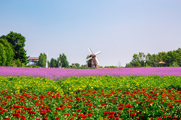 如今已成为东北最大花海主题游乐场,也是5a级乡村旅游度假胜地.