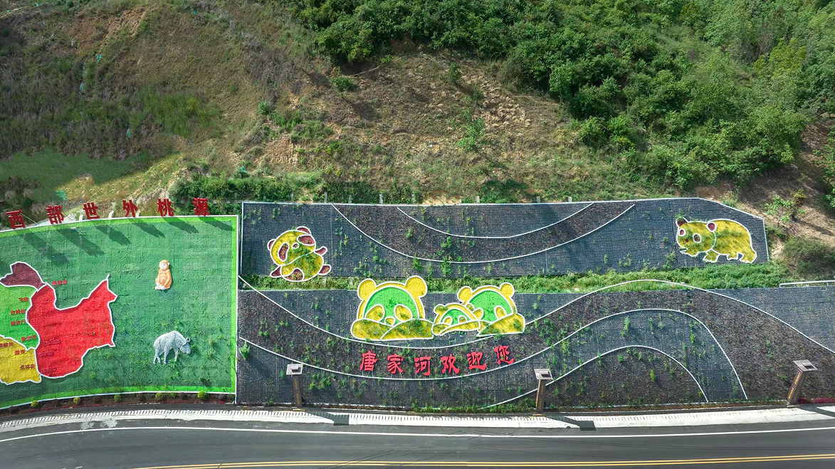 超适合广元周末出游的唐家河，1h就能刹拢！