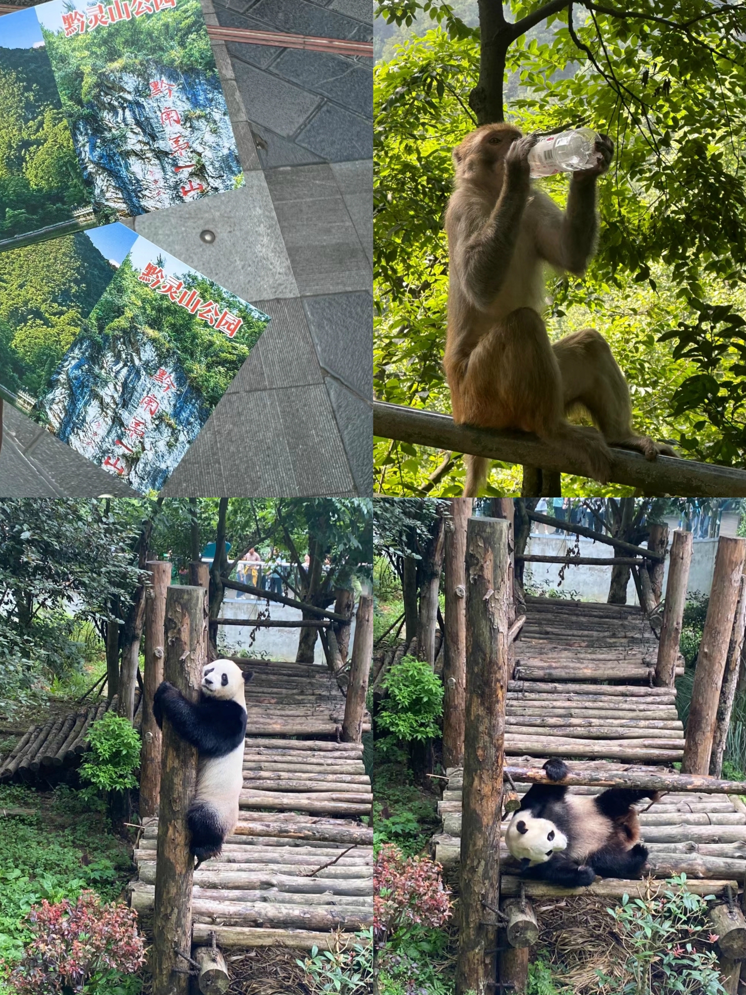 贵阳市区内自驾旅游必玩景点推荐攻略