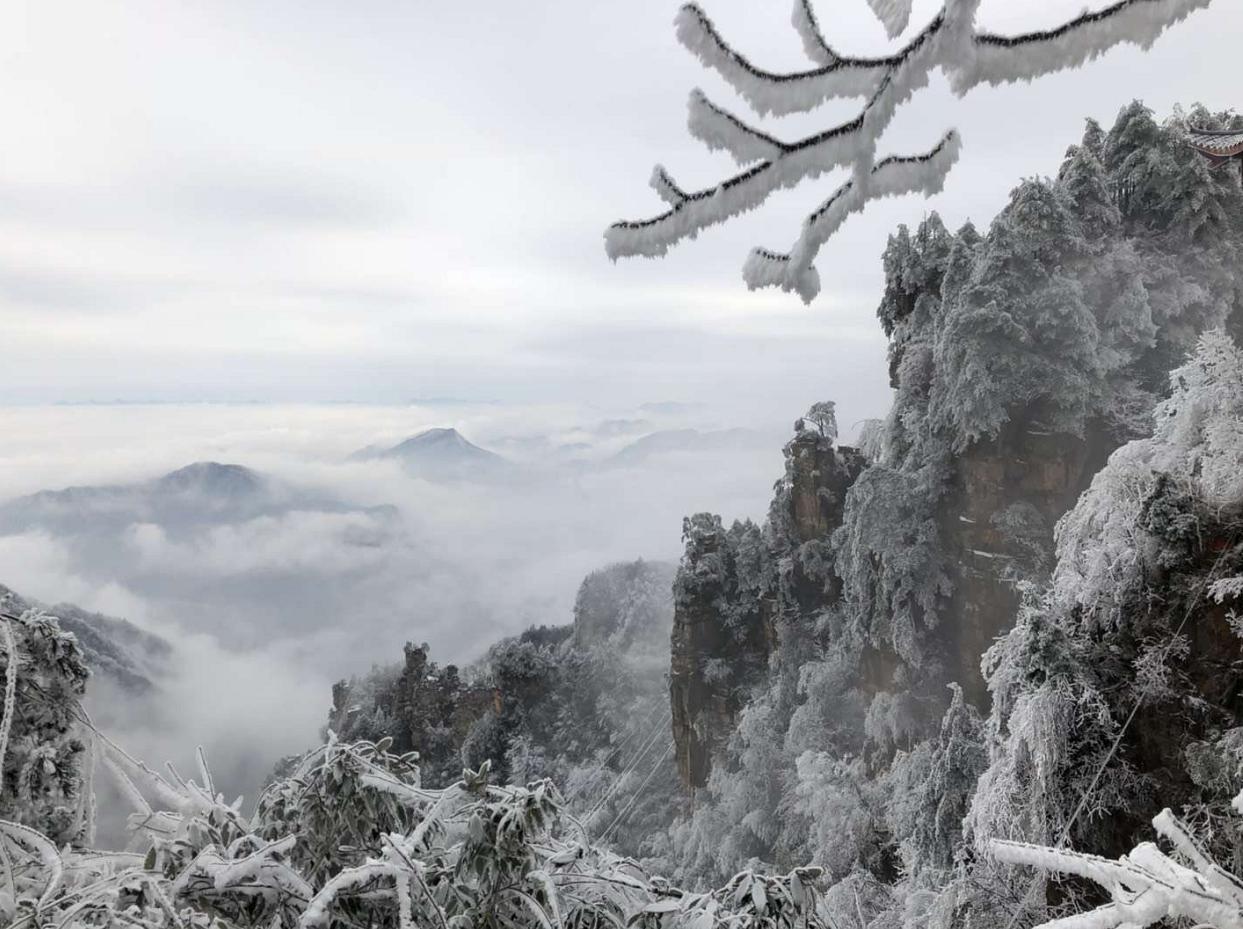 乘天梯 赏雪景 冬日畅游张家界